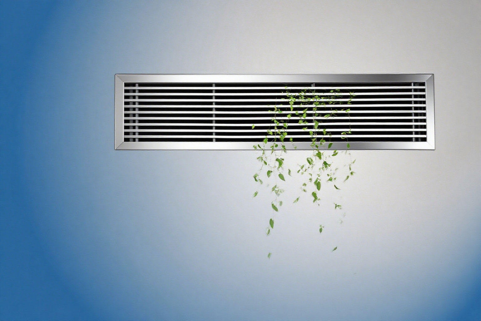 z6.com·(中国区)官方网站